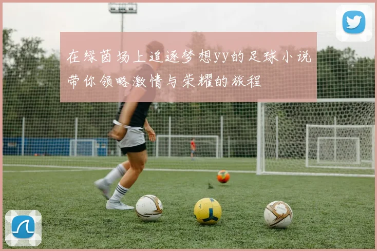 在绿茵场上追逐梦想yy的足球小说带你领略激情与荣耀的旅程
