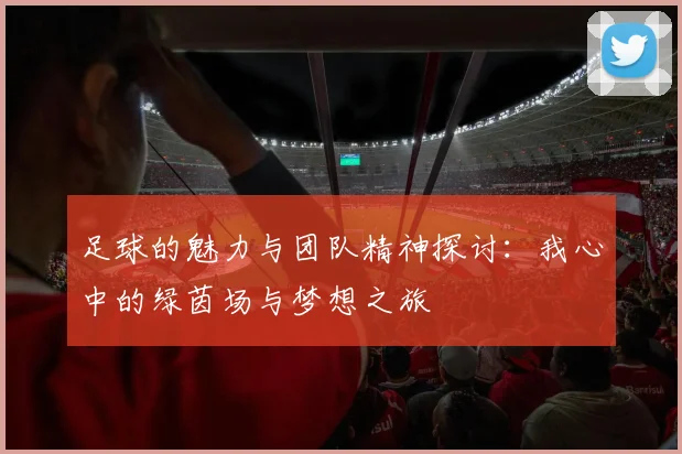 足球的魅力与团队精神探讨：我心中的绿茵场与梦想之旅