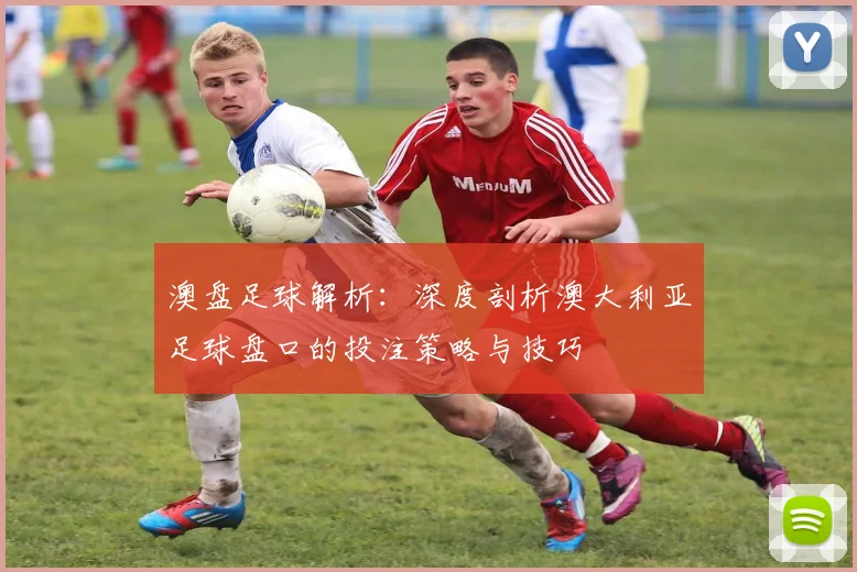 澳盘足球解析：深度剖析澳大利亚足球盘口的投注策略与技巧
