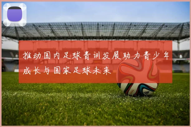 推动国内足球青训发展助力青少年成长与国家足球未来