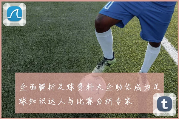 全面解析足球资料大全助你成为足球知识达人与比赛分析专家