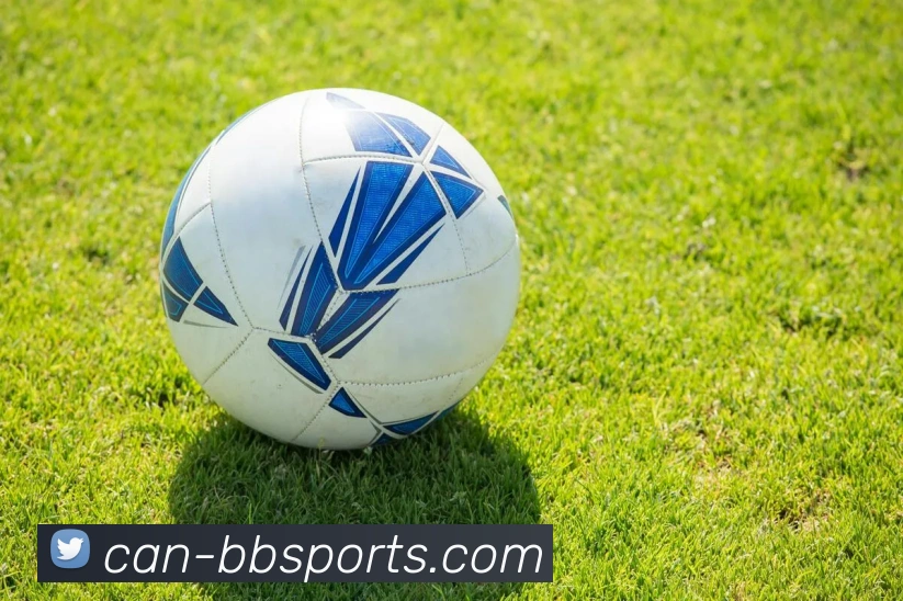 贝博体育平台生态图