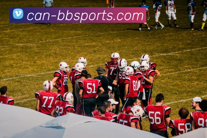 贝博体育APP 封面图